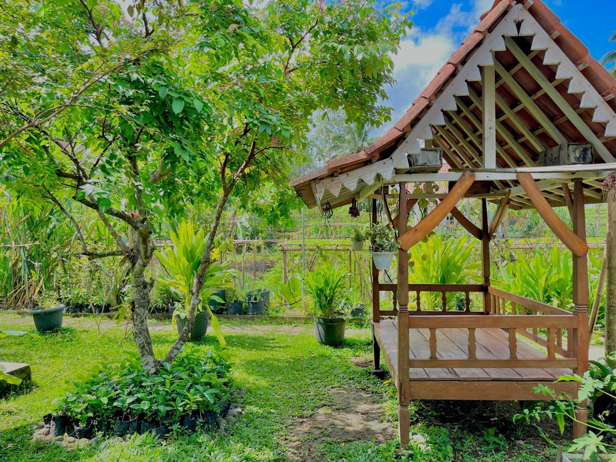Pondok Isoke Bunggalow Banyuwangi  Esterno foto
